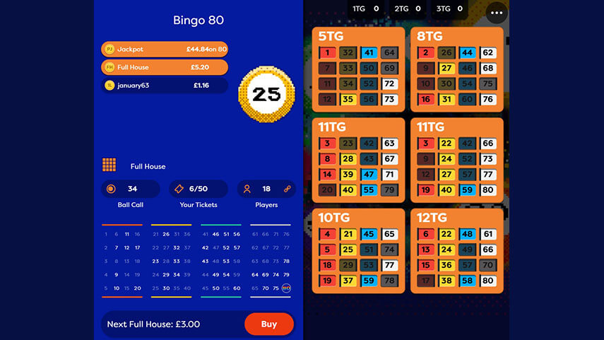 Bingo 80 Review