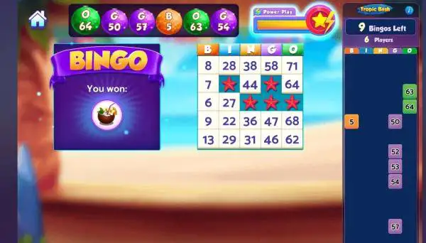 Bingo Bash Game Review